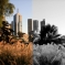 Desaturate